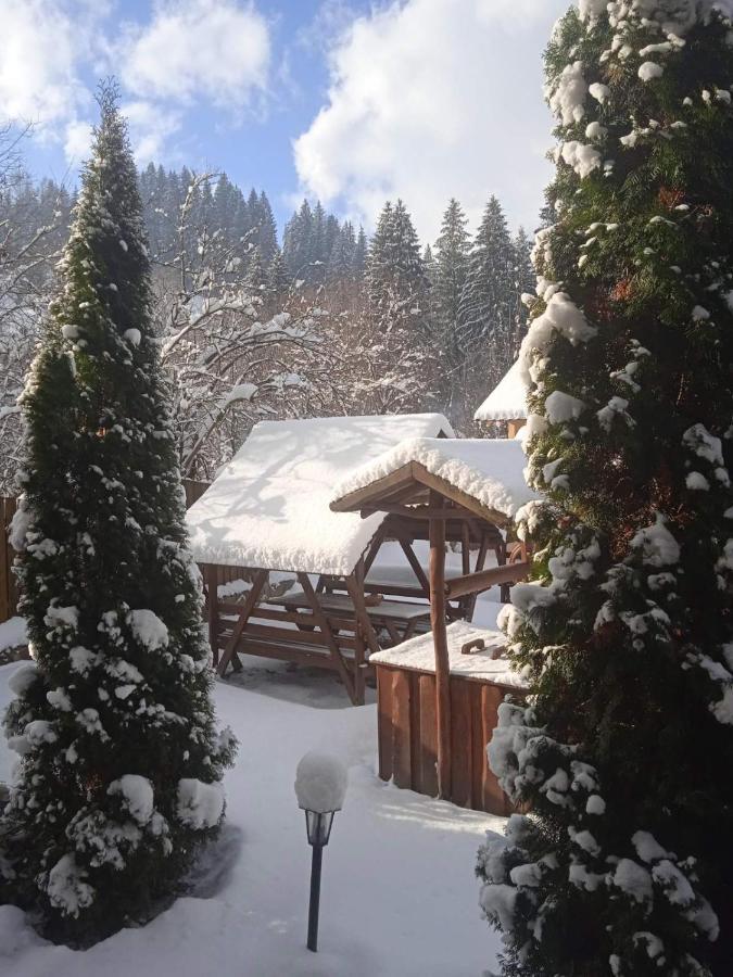 На Березі Черемошу เวอร์คอฟเวอนา ภายนอก รูปภาพ